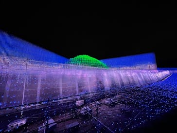 なばなの里に投稿された画像（2020/12/26）