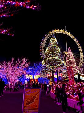 よみうりランド 遊園地に投稿された画像（2020/12/26）
