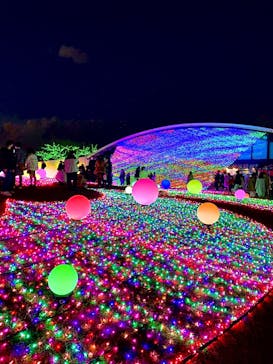 よみうりランド 遊園地に投稿された画像（2020/12/26）