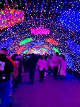 よみうりランド 遊園地に投稿された画像（2020/12/26）