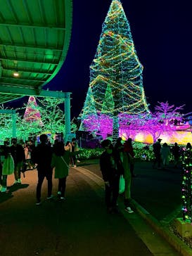 よみうりランド 遊園地に投稿された画像（2020/12/26）