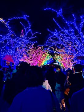 よみうりランド 遊園地に投稿された画像（2020/12/26）