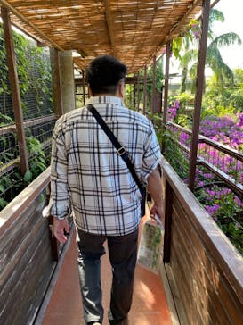 ナゴパイナップルパークに投稿された画像（2020/12/26）