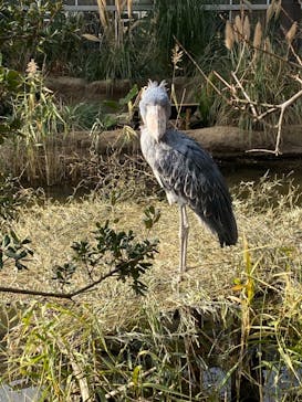 神戸どうぶつ王国に投稿された画像（2020/12/26）