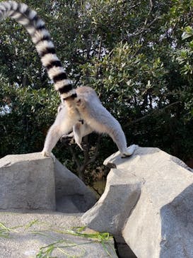 神戸どうぶつ王国に投稿された画像（2020/12/26）