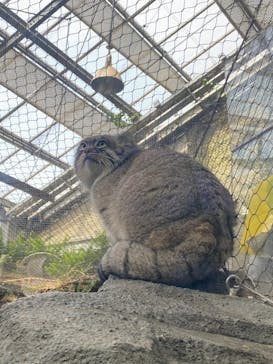 神戸どうぶつ王国に投稿された画像（2020/12/26）