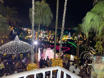 美らヤシパークオキナワ・東南植物楽園に投稿された画像（2020/12/26）