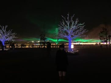 東京メガイルミに投稿された画像（2020/12/26）