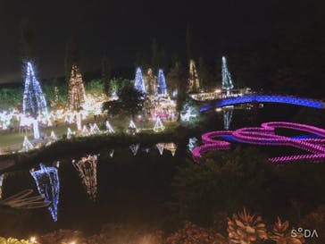 美らヤシパークオキナワ・東南植物楽園に投稿された画像（2020/12/26）