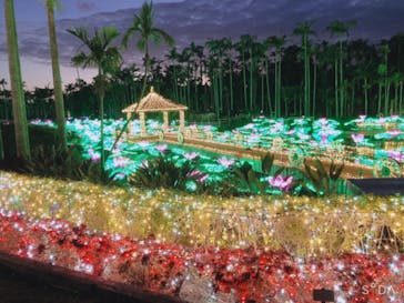 美らヤシパークオキナワ・東南植物楽園に投稿された画像（2020/12/26）