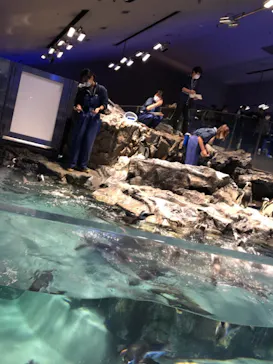 すみだ水族館に投稿された画像（2020/12/26）