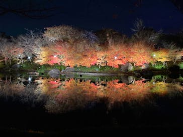 なばなの里に投稿された画像（2020/12/26）