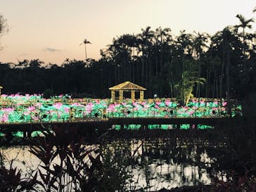 美らヤシパークオキナワ・東南植物楽園に投稿された画像（2020/12/26）