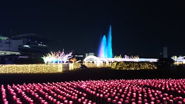 東京メガイルミに投稿された画像（2020/12/26）