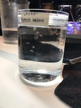 京都水族館に投稿された画像（2020/12/26）