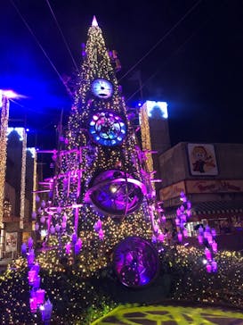 ひらかたパークに投稿された画像（2020/12/26）