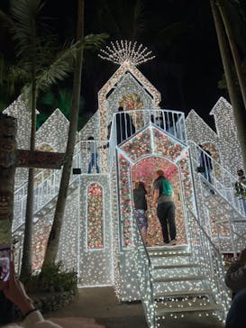 美らヤシパークオキナワ・東南植物楽園に投稿された画像（2020/12/26）