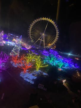 よみうりランド 遊園地に投稿された画像（2020/12/26）