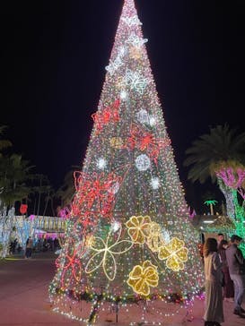 美らヤシパークオキナワ・東南植物楽園に投稿された画像（2020/12/26）