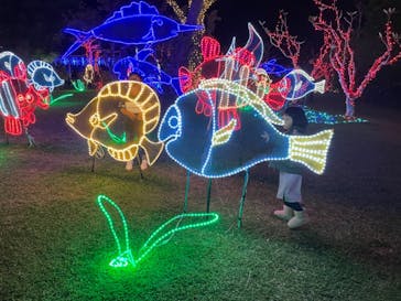 美らヤシパークオキナワ・東南植物楽園に投稿された画像（2020/12/26）