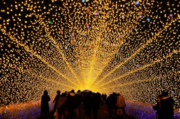 なばなの里に投稿された画像（2020/12/26）