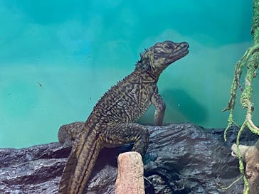 サンシャイン水族館に投稿された画像（2020/12/26）