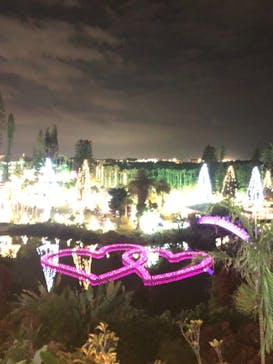 美らヤシパークオキナワ・東南植物楽園に投稿された画像（2020/12/26）