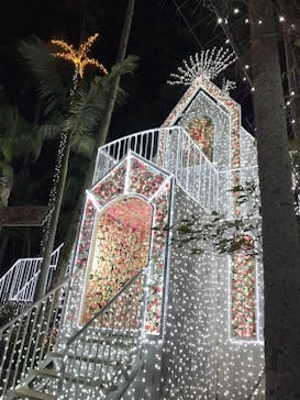 美らヤシパークオキナワ・東南植物楽園に投稿された画像（2020/12/26）