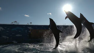 仙台うみの杜水族館に投稿された画像（2020/12/26）