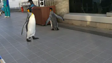 仙台うみの杜水族館に投稿された画像（2020/12/26）