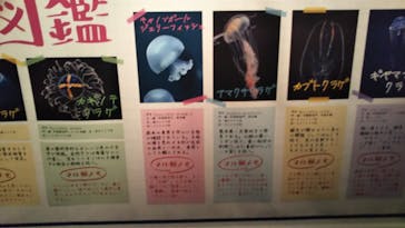 京都水族館に投稿された画像（2020/12/26）