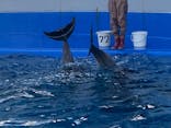 大分マリーンパレス水族館 「うみたまご」に投稿された画像（2020/12/27）