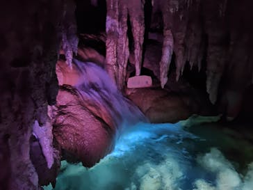 おきなわワールドに投稿された画像（2020/12/26）