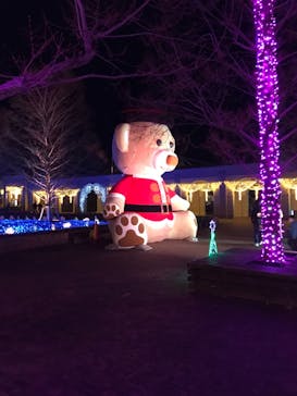 神戸イルミナージュに投稿された画像（2020/12/26）