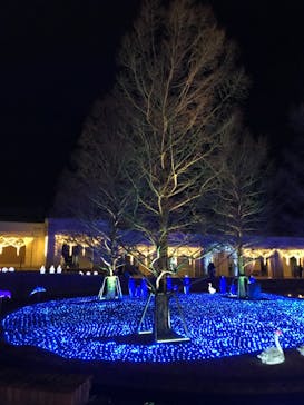 神戸イルミナージュに投稿された画像（2020/12/26）