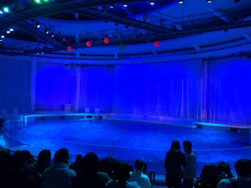 アクアワールド茨城県大洗水族館に投稿された画像（2020/12/26）