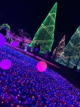 よみうりランド 遊園地に投稿された画像（2020/12/26）