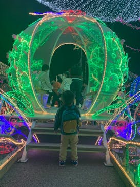 美らヤシパークオキナワ・東南植物楽園に投稿された画像（2020/12/26）