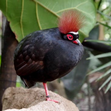 神戸どうぶつ王国に投稿された画像（2020/12/26）