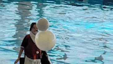 アクアワールド茨城県大洗水族館に投稿された画像（2020/12/26）