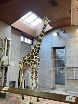 天王寺動物園に投稿された画像（2020/12/27）