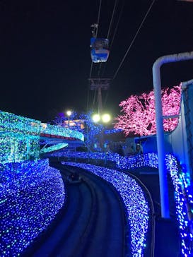 よみうりランド 遊園地に投稿された画像（2020/12/27）