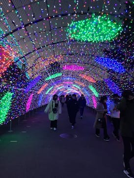 よみうりランド 遊園地に投稿された画像（2020/12/27）