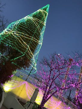 よみうりランド 遊園地に投稿された画像（2020/12/27）