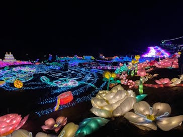 伊豆ぐらんぱる公園に投稿された画像（2020/12/27）