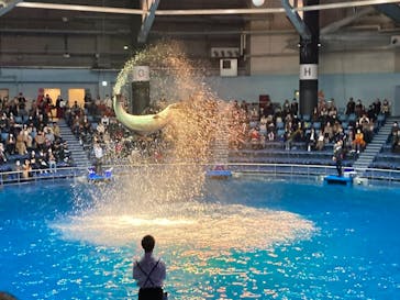 マクセル アクアパーク品川に投稿された画像（2020/12/27）