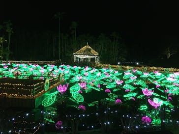 美らヤシパークオキナワ・東南植物楽園に投稿された画像（2020/12/27）