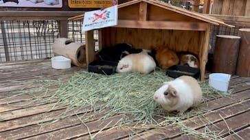 神戸どうぶつ王国に投稿された画像（2020/12/27）