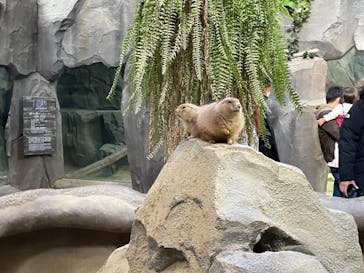 神戸どうぶつ王国に投稿された画像（2020/12/27）