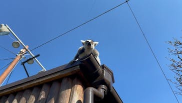 神戸どうぶつ王国に投稿された画像（2020/12/27）